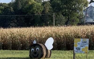 Giant Hay Bee in Minnesota