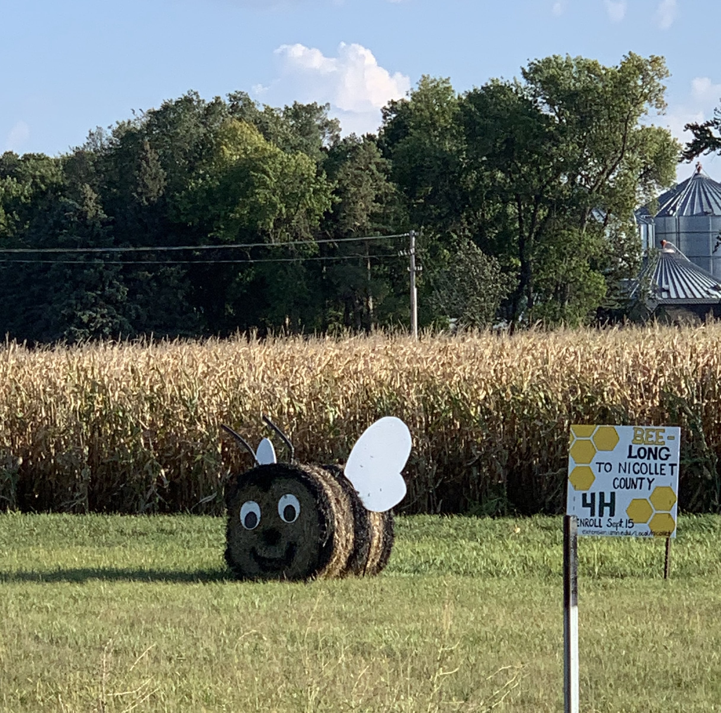 Giant Hay Bee in Minnesota
