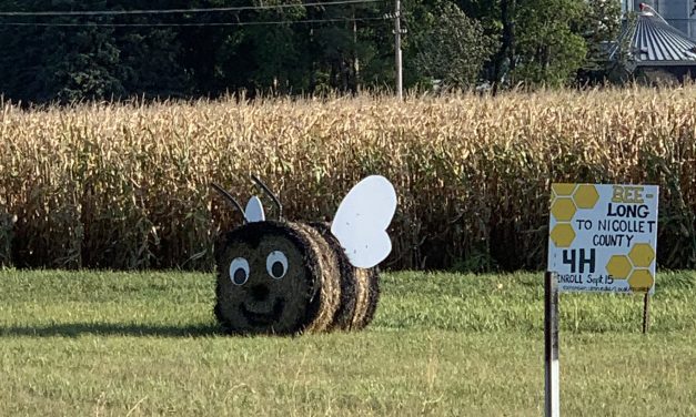 Giant Hay Bee in Minnesota