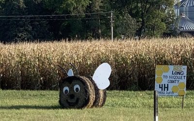 Giant Hay Bee in Minnesota