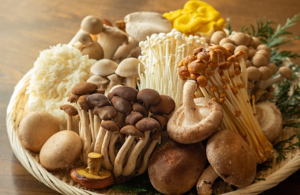 7 Culinary Mushrooms You Need to Try
