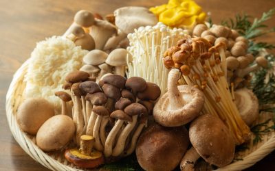7 Culinary Mushrooms You Need to Try