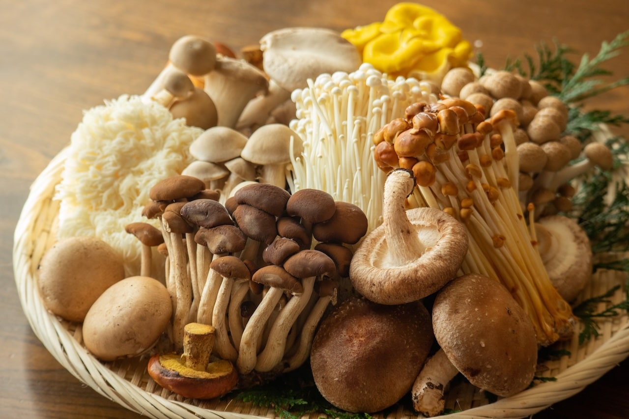 Culinary Mushroom Group - Variety
