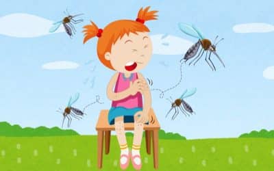 Overlooked Remedy for Itchy Mosquito Bites