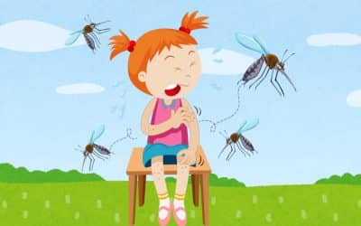 Overlooked Remedy for Itchy Mosquito Bites